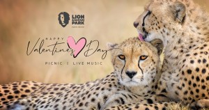 Asihlangane A Event poster